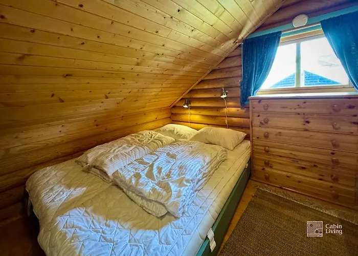 - Sauna, Large Terrace And Bbq